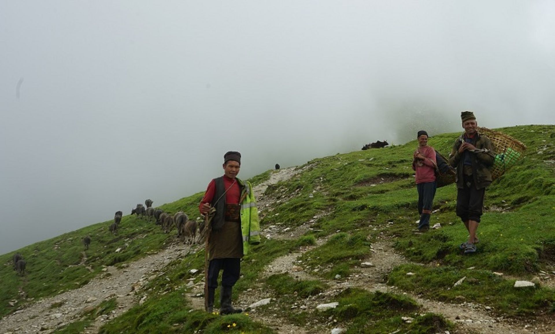 वृद्धहरुले धानेको गोठ